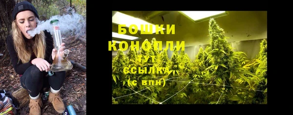 стафф Новочеркасск