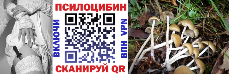 Псилоцибиновые грибы Cubensis  Соликамск 